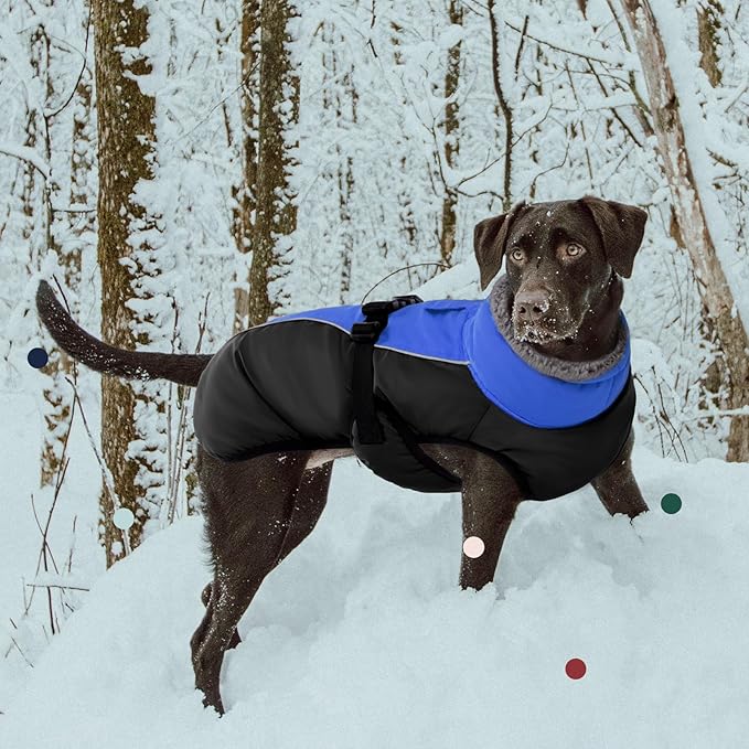 IECOii Extra Warm Dog Coat - Reflective Adjustable Jacket with Buckle Fleece Turtleneck for Cold Weather - Soft Winter Coat for Small, Medium & Extra Large Dogs