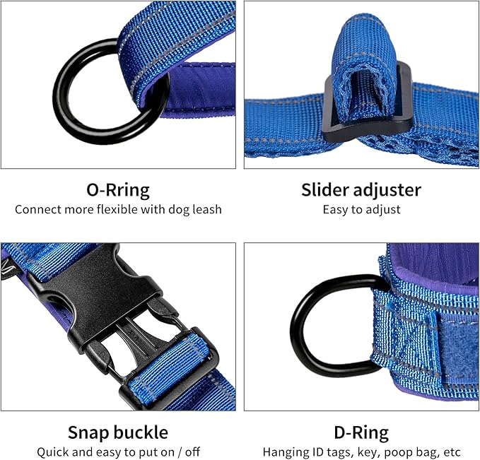 Annchwool No Pull Dog Harness with Soft Padded Handle-Reflective Strip Escape Proof and Quick Fit to Adjust Dog Harness-Easy for Training Walking for Small & Medium and Large Dogs(Blue,XS,1 in Width)
