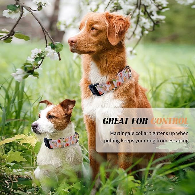 Hikiko Martingale Collar for Dogs Peach Dog Collar for Small Medium Large Dogs Cute Holiday Summer Dog Collars Pet Gift (Peach,Large)
