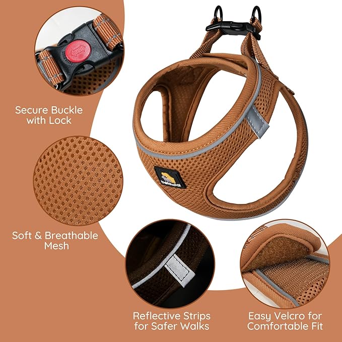 BELLA & PAL Step in Vest Harness for Small and Medium Dogs, No Pull Small Dog Harness with Leash Set, Comfortable Air Mesh Dog Vest Harness with Reflective Strip (Mokka, M)