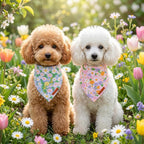ADOGGYGO Floral Dog Bandanas, Spring Summer Daisy Pet Scarf, Premium Fabric, Purple Pink Flower Bandanas for Small Dogs (Small)