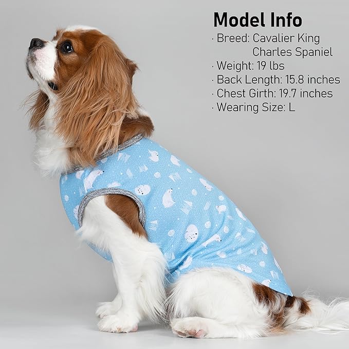 KYEESE 2Pack Dog Cooling Shirt, Breathable Dog Shirt for Large Dogs, Sun Protection Dogs Cooling Vest Tank Top, Lightweight Soft Sleeveless Summer Pet Clothes, Polar Bear+Ice, 3XL
