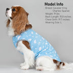 KYEESE 2Pack Dog Cooling Shirt, Breathable Dog Shirt for Small Medium Dogs, Sun Protection Dogs Cooling Vest Tank Top, Lightweight Soft Sleeveless Summer Pet Clothes, Polar Bear+Ice, XL