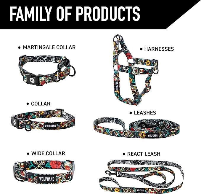 Wolfgang Heavy Duty Dog Leash, Pull-Tested to Over 800 lbs for Walking & Training, LosMuertos Print, Small