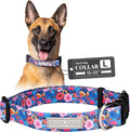 Lucky Love Dog - Adjustable Dog Collar with Easy Click Buckle for Large Dogs, Durable, & Comfortable Collar for Male & Female Dogs, Pet Collar for Puppies & Adult Dogs - Zuzu, Large