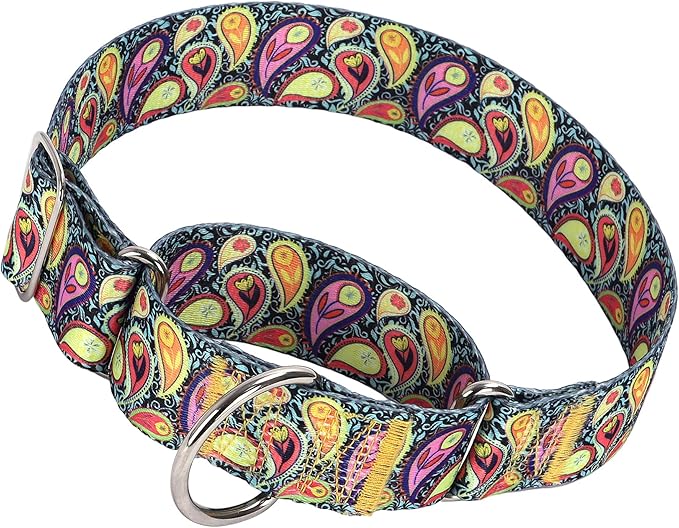 1.5 Inch Wide Martingale Dog Collar - No Pull Choke Cinch Escape Proof for Large Breeds Walking, Running & Training（Cashew flower XL）