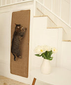 Cat Wall Climbing Carpet - Cat Wall Climber 50" x 17" with Fixed Nails – Scratching Rug Wall Scratchers for Indoor Cats | Climbing Wall Carpet | Scratching Mat.