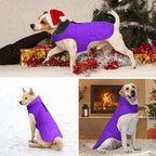 Dog Winter Coat, Waterproof Dog Jacket with Leash Hole, Reflective Adjustable Pet Snow Vest, Warm Fleece Sweater for Small Medium Large Dogs - Purple, XS
