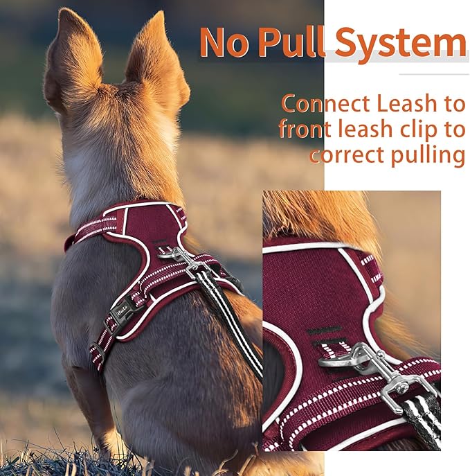 HEELE Dog Harness for Small Dogs No Pull Dog Vest Harness for Small Dog with Soft Padded Handle Reflective for Outdoor Training, Burgundy Red, S