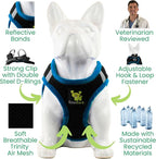 EcoBark Step in Dog Harness - Eco-Friendly Dog Harnesses for Small and Medium Breed Dogs - Reflective and Adjustable Body Halter Vest - Soft Mesh Toy Breed Harness (Black and Teal, Large)