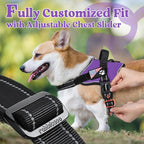 rabbitgoo Dog Harness Medium Sized, No Pull No Choke Pet Vest, Easy Wearing with One Buckle, Reflective, Adjustable Pet Harness with Molle for Walking, Training, Purple, M