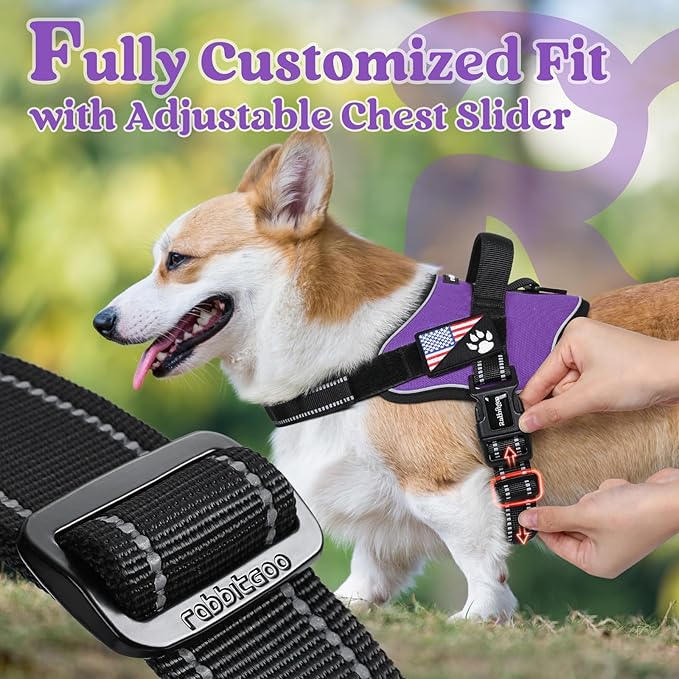 rabbitgoo Dog Harness Small Sized, No Pull No Choke Pet Vest, Easy Wearing with One Buckle, Reflective, Adjustable Pet Harness with Molle for Walking, Training, Purple, S