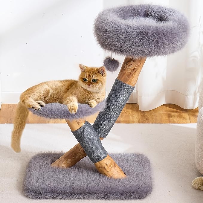 HITTITE Natural Solid Wood Cat Tree Tower with Scratching Post, 32 Inches Tall Modern Cat Tower with Cozy Bed and Platforms, Luxury Real Branch Cat Tree for Indoor Cats Large Adult, Grey.