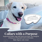 Lucky Love Dog Martingale Dog Collar - Adjustable, No-Slip, Durable, & Soft Webbing Collar for Male and Female Dogs Ideal for Training & Walking - Rosie, Large