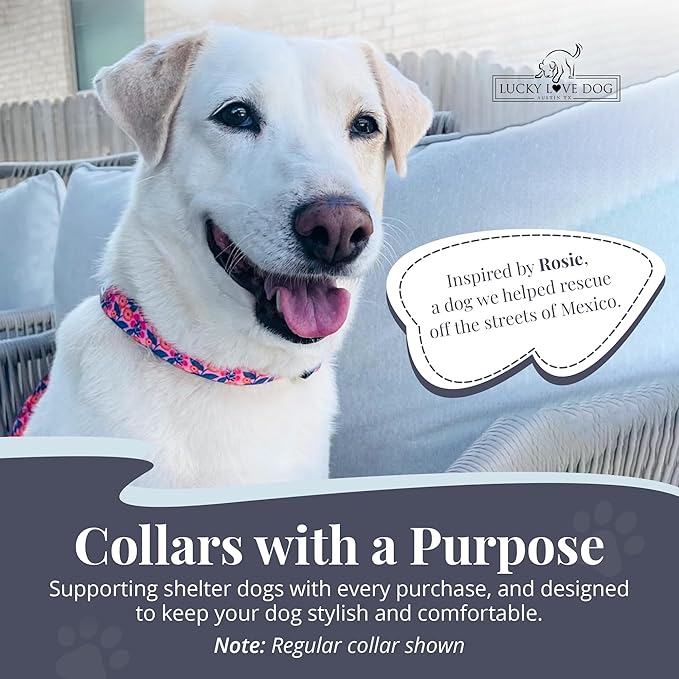 Lucky Love Dog Martingale Dog Collar - Adjustable, No-Slip, Durable, & Soft Webbing Collar for Male and Female Dogs Ideal for Training & Walking - Rosie, Large