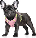 BARKBAY No Pull Dog Harness Large Reflective Dog Harness with Front Clip and Easy Control Handle for Walking Training Running with ID tag Pocket(Baby Pink & Sunlight,S)
