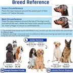 BARKLESS Dog Training Head Collar for Pulling, No Pull Head Halter with Adjustable Safety Strap, Anti-Pull Soft Padded Muzzle Leash for Walking Training Leash Reactive Large Dogs