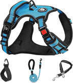 NESTROAD No Pull Dog Harness,Adjustable Oxford Dog Vest Harness with Leash,Reflective No-Choke Pet Harness with Easy Control Soft Handle for Small Dogs(X-Small,Blue)