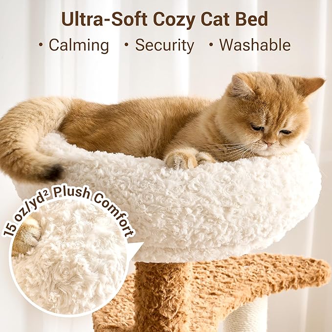 Modern Cat Tree Tower with Scratching Post for Indoor Cats Up tp 15lbs, 50.5" Tall Cat Tree with Flower/Fluffy Cat Beds, Acrylic Capsule, Multi-Level Platforms & Interactive Toy, White & Brown