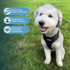 Voyager Step-in Lock Pet Harness - All Weather Mesh, Adjustable Step in Harness for Cats and Dogs by Best Pet Supplies - Black, XS (Pack of 2)