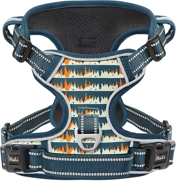 HEELE Dog Harness, No Pull Adjustable Padded Reflective Harness for Small Medium Large Dogs with Handle for Walking Training, Flower-Sunset Valley, XL