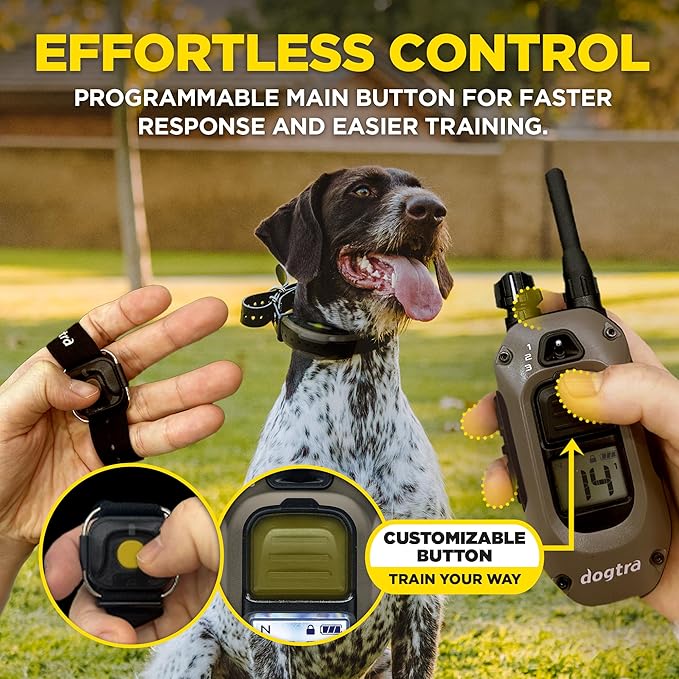 Dogtra 1900X Handsfree E-Collar for Dog Training - 3/4 Mile Range, for Dogs 35 lbs+, Waterproof, 100 Stimulation Levels, Vibration, Tone, Rechargeable - Hands-Free Remote for Dog Owners and Trainers