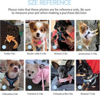 Dog Harness for Small Dogs and Leash Set, Honeycomb Grid, Reflective Lightweight Harness & Anti-Twist Pet Lead Multi Color, Size: XS-S-M. (S, Aqua Blue)