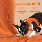 rabbitgoo Small Dog Harness, Step-in Soft Mesh Puppy Vest with Safety Buckle, Breathable Reflective Pet Harness for Small Sized Dogs, Orange M