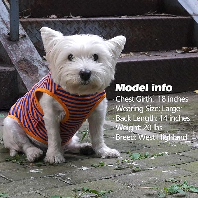 KYEESE 2Pack Dog Shirts Striped for Small Dogs Soft Stretchy T-Shirts Lightweight Tank Top Sleeveless Dog Vest Breathable Cat Shirt, Small, Orange+Green