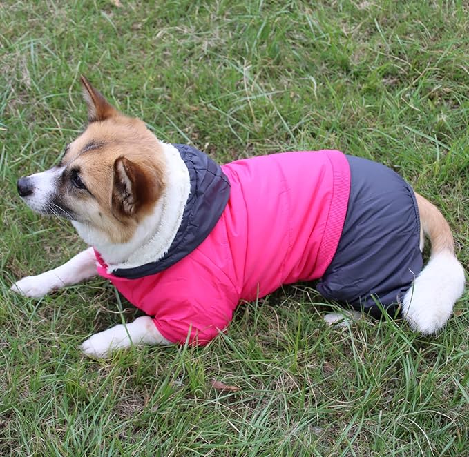 Fleece Lined Dog Coat with Detachable Hood and Detachable Hind Legs,Warm Puppy Jacket in Winter(Pink&Grey M)
