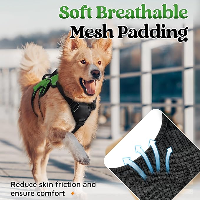 rabbitgoo Escape Proof Dog Harness, Soft Padded Full Body Pet Harness, Reflective Adjustable No Pull Vest with Lift Handle and Lesh Clip for Large Dogs Walking Hiking Training, XL, Green