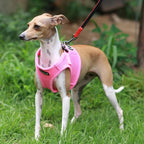 PUPPIA International Puppia Harness Soft B Vest Pink, Small