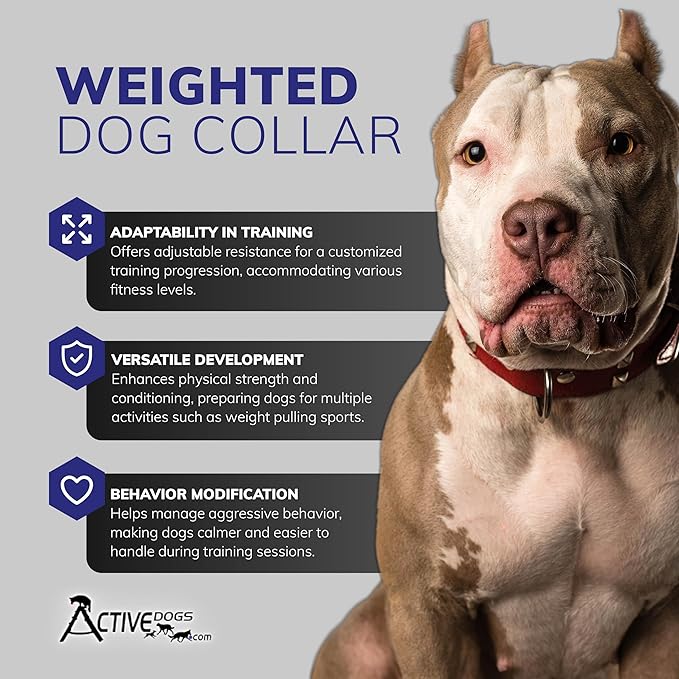 ActiveDogs Weighted Dog Collar for Muscle Building and Tactical Training - Dog Weighted Vest for Exercise - Includes 5x1lb Weights & Sheepskin Padding - Ideal for K9, Bully, Bull Terrier & More