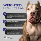 ActiveDogs Weighted Dog Collar for Muscle Building and Tactical Training - Dog Weighted Vest for Exercise - Includes 5x1lb Weights & Sheepskin Padding - Ideal for K9, Bully, Bull Terrier & More