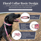 Lucky Love Dog - Adjustable Dog Collar with Easy Click Buckle for Small Dogs, Durable, & Comfortable for Male & Female Dogs, Pet Collar for Puppies & Adult Dogs - Rosie, Small