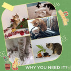 56" Cat Tree for Indoor Cats with Hammock, Scratching Posts & Play Ball, Multi-Level Cat Tower with Anti-Tip Device, Plush Perches & Sisal Rope (Green, 19.25x19.25x56 Inches)