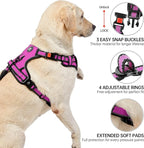NESTROAD No Pull Dog Harness,Adjustable Oxford Dog Vest Harness with Leash,Reflective No-Choke Pet Harness with Easy Control Soft Handle for Small Medium Dogs(Medium,Fuchsia Pink)