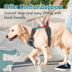 Eagloo Dog Harness for Large Dogs, Easy Wearing with 3 Buckles, Adjustable No Pull Pet Harness with 2 Rings for Walking, No Chock Reflective Soft Padded Vest with Control Handle, Red & Teal, XL