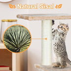 ZENY 36 inches Cat Trees for Kittens Cat Furniture Towers with Scratching Posts, Double Perches, and Roomy House Kitty Cat Activity Trees Climber Towers