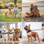 Comfort Fit Dog Collar, Anti-Choke Neck Safe Dog Training Collar, Wide Padded, Breathable, Adjustable with Dual D-Rings, Soft Cushion Neck Protector for Dogs (L, Blue)