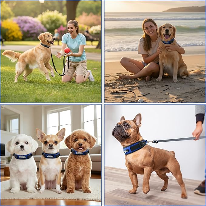 Comfort Fit Dog Collar, Anti-Choke Neck Safe Dog Training Collar, Wide Padded, Breathable, Adjustable with Dual D-Rings, Soft Cushion Neck Protector for Dogs (M, Blue)