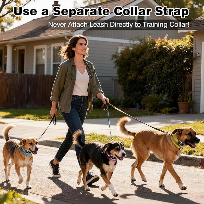 PetJoy Replacement Strap for E-Collar with Reflective Strip & D-Ring – 2 Pack Adjustable Nylon Dog Collar Band, Pet Safe & Durable for Training Collars