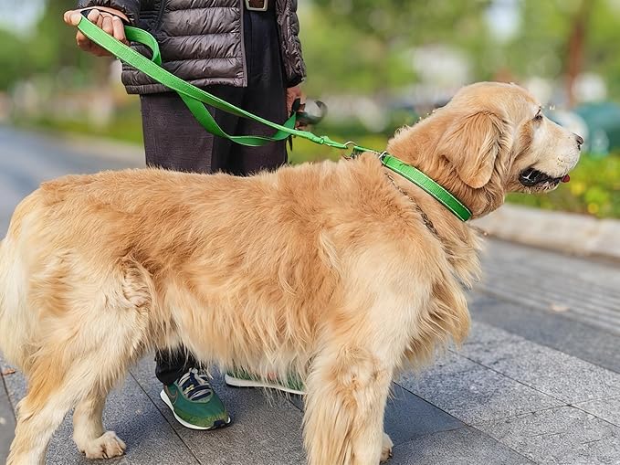 Reflective Slip Dog Collar, Loop Dog Collar for 44-75 lbs Dogs Nylon Training Collars with Soft Padded for Medium Dog Collars Green 1" W x 22" L (Fits Neck 15.7"-19.7")