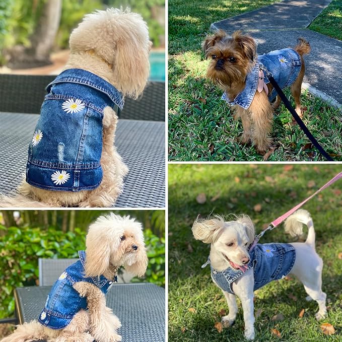 Pet Clothes Vintage Denim Dog Jacket with Daisy Embroidery - Puppy Stylish Pet Coat for Chihuahua, Yorkie Small Breeds - All-Season Comfort (Blue,Medium)