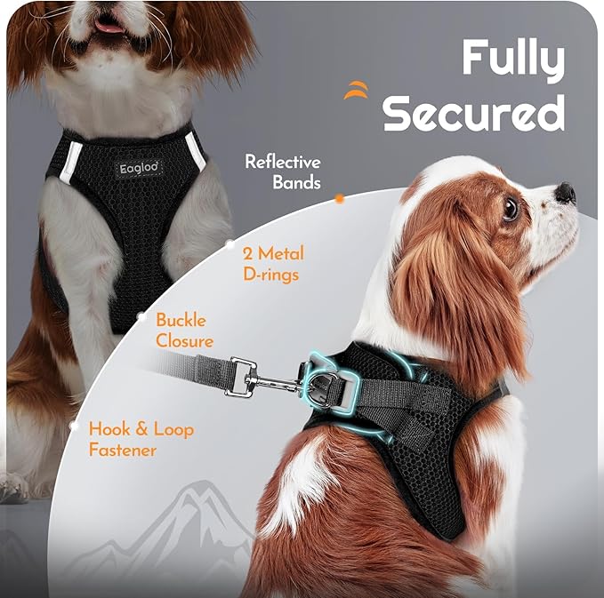 Eagloo Small Dog Harness and Leash Set, Step in Puppy Vest with Breathable Soft Mesh, Walking Reflective Pet Harness for Medium Small Dogs, Black, L