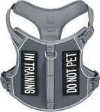 Light Dog Harness for Small Sized Dog Breeds, No-Pull Pet Harness with 2 Leash Clips, Adjustable Soft Padded Dog Vest, Reflective Pet Oxford Vest, Puggle, Terriers, Beagle, Gray, Small