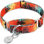 Martingale Dog Collar Escape-Proof for Training - No-Buckle, Durable Polyester Design for Medium Breeds (Jungle Sunset,M)