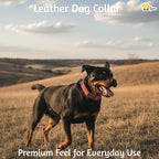 ADITYNA - Leather Dog Collar with Metal Buckle for Large, and Extra Large Dogs - Heavy-Duty, Adjustable, and Leather Tactical Dog Collar (Red, Fits 19-30" Necks)