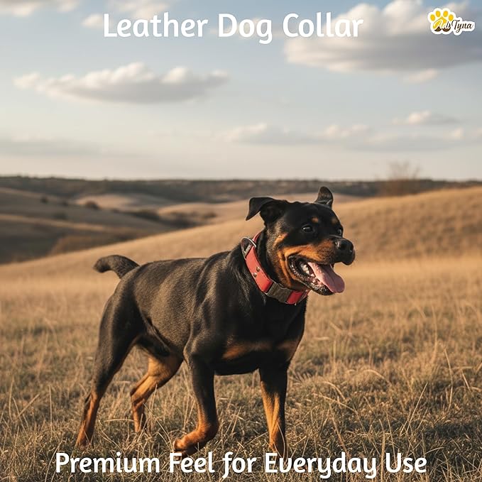 ADITYNA - Leather Dog Collar with Metal Buckle for Large, and Extra Large Dogs - Heavy-Duty, Adjustable, and Leather Tactical Dog Collar (Red, Fits 19-30" Necks)
