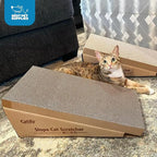 Best Pet Supplies Catify Cat Scratcher, Fun Interactive Scratchers, Posts, Poles, Claw Safe, Furniture Saver Indoor Play Support Natural Cat Behaviors Heavy Duty - Slope Scratcher (2 Pack), 19 x 9.5"